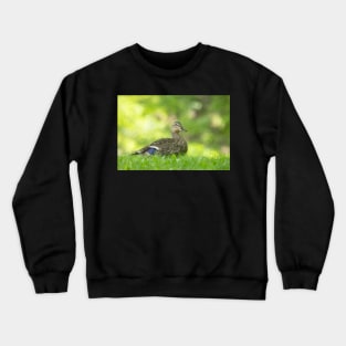 The Impressionist Crewneck Sweatshirt